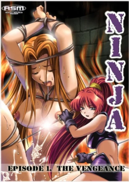 689076355223_hentai-Ninja-DVD-1-Adult-HARD