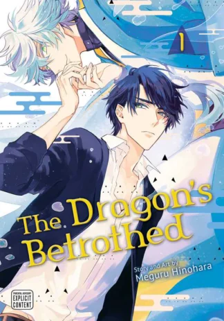 The Dragon's Betrothed Vol. 1 Graphic Novel