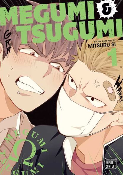 Megumi & Tsugumi Vol. 1 Graphic Novel