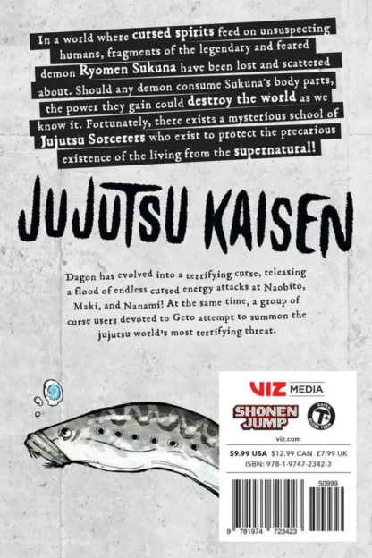 Jujutsu Kaisen Vol. 13 - Manga