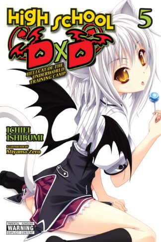 High School DxD (light novel)