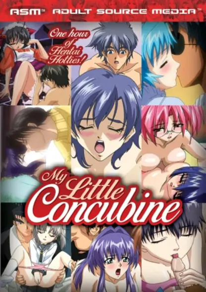 653341451248_hentai-My-Little-Concubine-DVD-primary-1.jpg