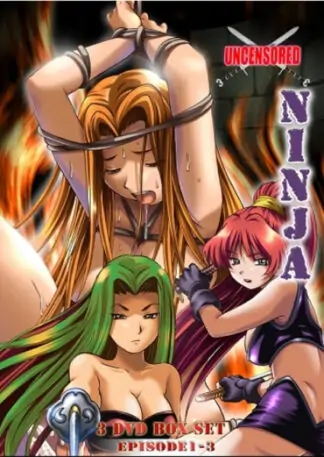 689076127622_hentai-Ninja-DVD-1-3-Bundle-S-Adult-primary