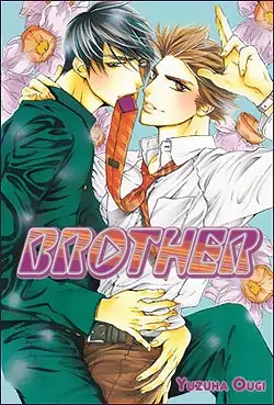 9780976604501_books-Brother-Graphic-Novel-Adult-2nd-Ed.jpg