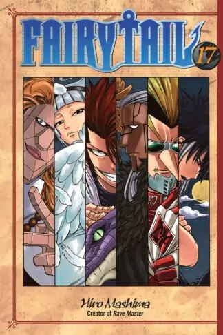 FAIRY TAIL 17