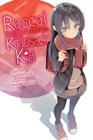 Rascal Does Not Dream (light novel)