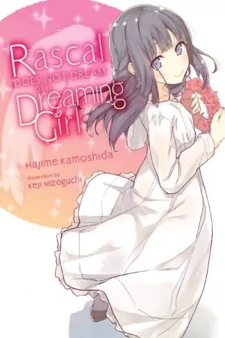 Rascal Does Not Dream (light novel)