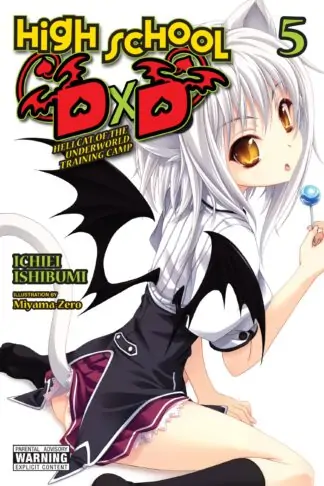 High School DxD (light novel)