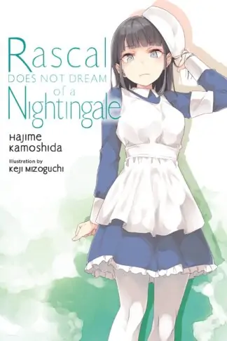 Rascal Does Not Dream (light novel)