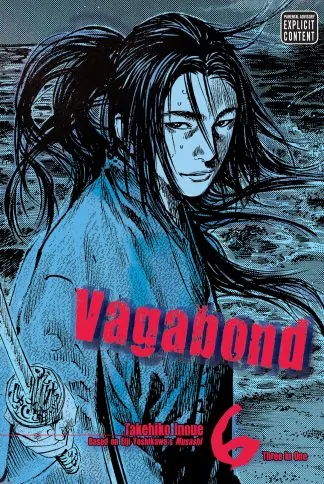 Vagabond (VIZBIG Edition)