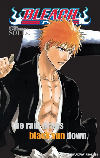 Bleach SOULs. Official Character Book