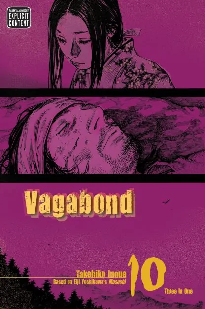 Vagabond (VIZBIG Edition)