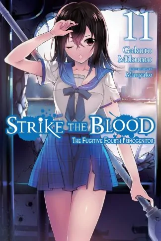 Strike the Blood (light novel)