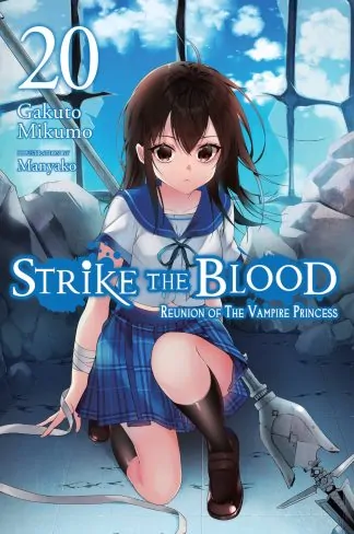 Strike the Blood (light novel)